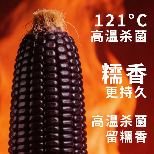 迪易有机认证东北黑糯玉米10根真空包装礼盒装新鲜糯玉米代餐粗粮 - 图2
