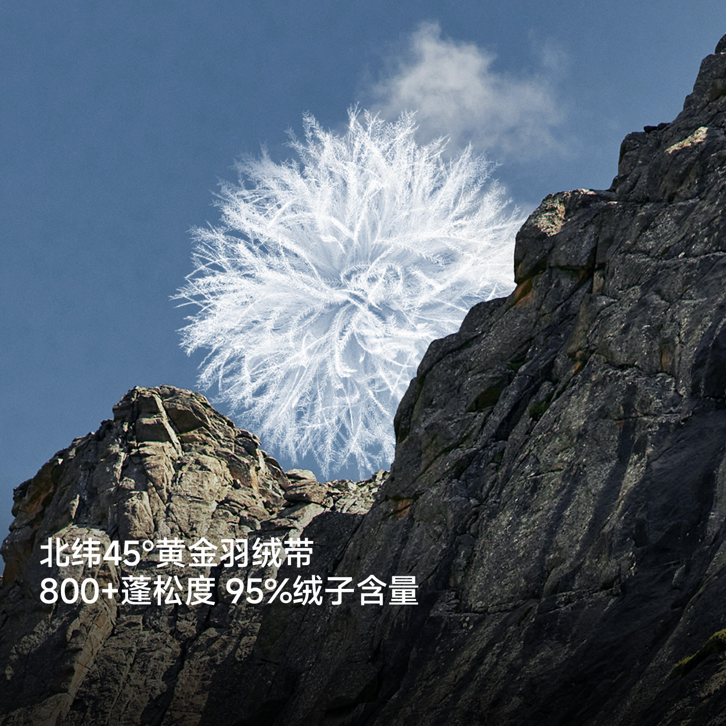 喜马拉雅玉龙羽绒服保暖防风800蓬拒水鹅绒户外雪山攀登外套男女