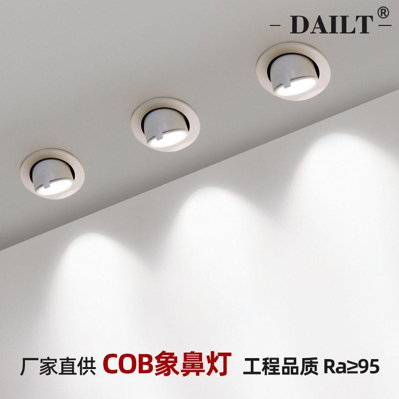 Led elephant trunk lamp cob downlight wall washing ceiling indoor engineering bull's eye lamp 12w30w dimmable spotlight anti-glare