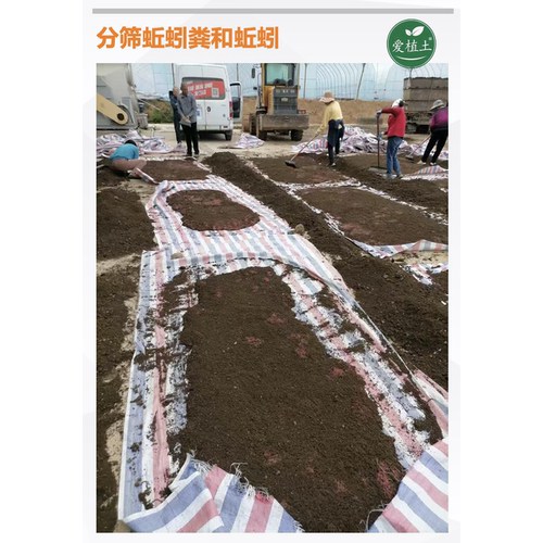 营养土蚯蚓粪营养土养花通用专用多肉花卉绿植厂家批发陶粒有机肥 - 图1