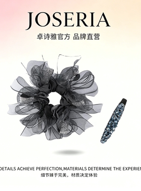 卓诗雅网纱大肠发圈精致两用