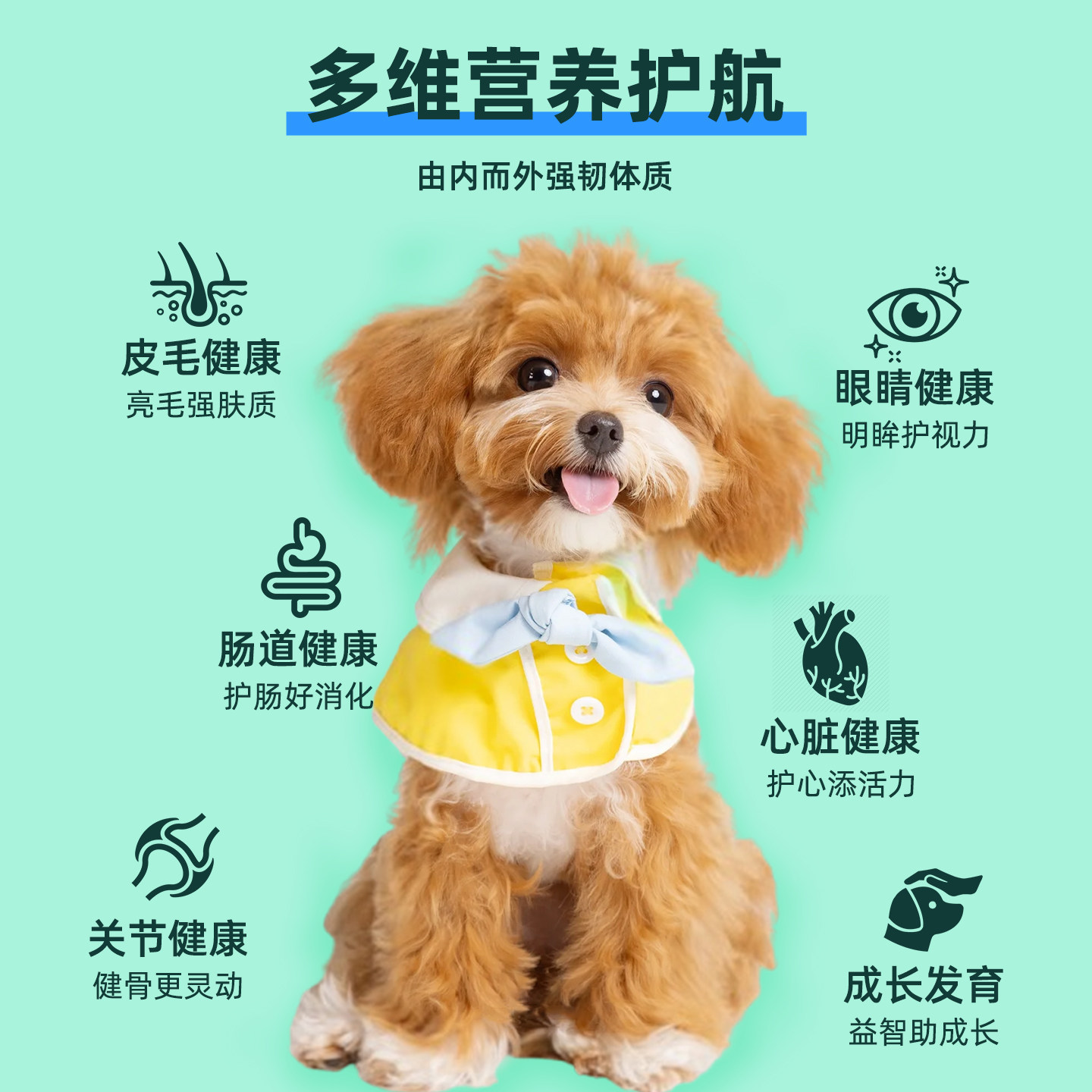 图 5