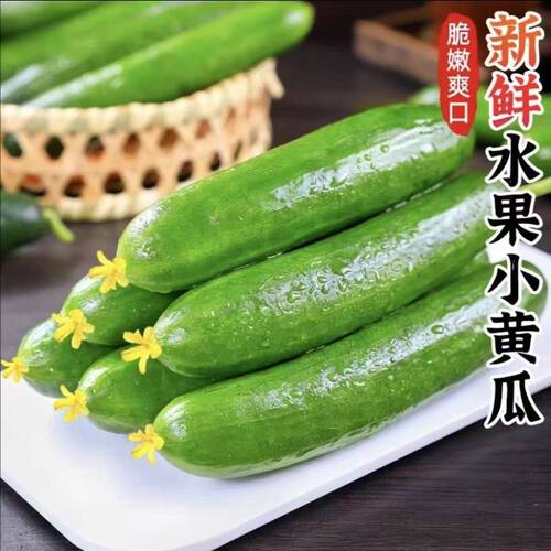 【香菇来了】新鲜水果黄瓜清新脆爽春季尝鲜生吃小黄瓜沙拉 - 图2