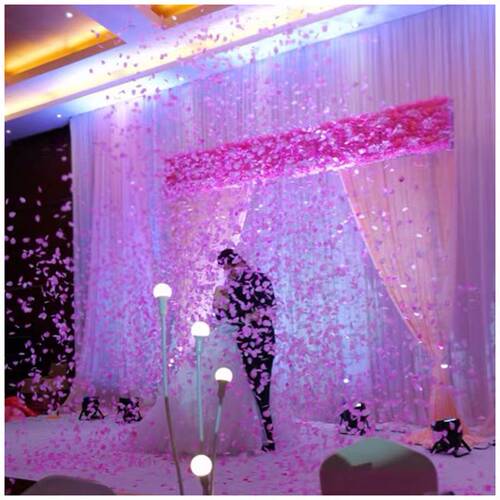 婚庆花瓣雨 礼炮 结婚礼花筒 开业道具 求婚用品 舞台礼宾花 彩带 - 图2