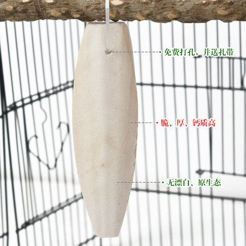 墨王 墨鱼骨已打孔虎皮牡丹鹦鹉磨牙补钙爬行用品 鸟食饲料海螵蛸 - 图0