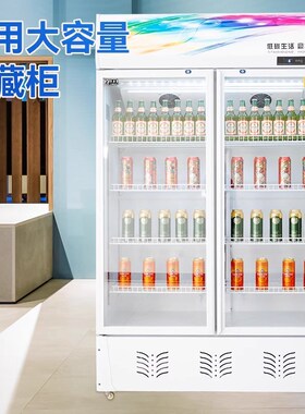 智冰客饮料展示柜冷藏保鲜冰柜大容量双开门超市立式单门啤酒冰柜