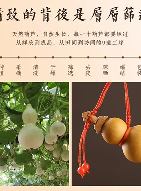 剑来养剑葫芦剑葫芦天然精品文玩小葫芦手捻开口手錬桃木剑挂件