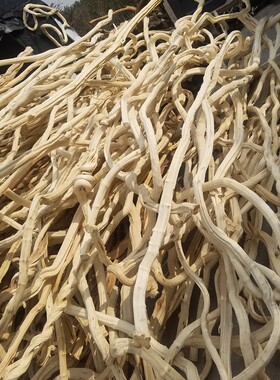 干树枝去皮白树枝装饰鸿运树摆件造景橱窗道具实木造型枯树藤条杆