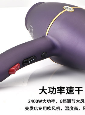 华剑电吹风8868专业美发吹风机理发店大功率电吹风负离子护发吹风