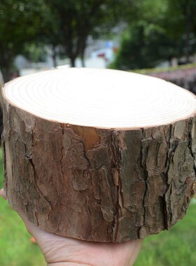 小木桩原木桩底座摆件摄影道具壁炉装饰树干圆木树桩木墩栅栏手工