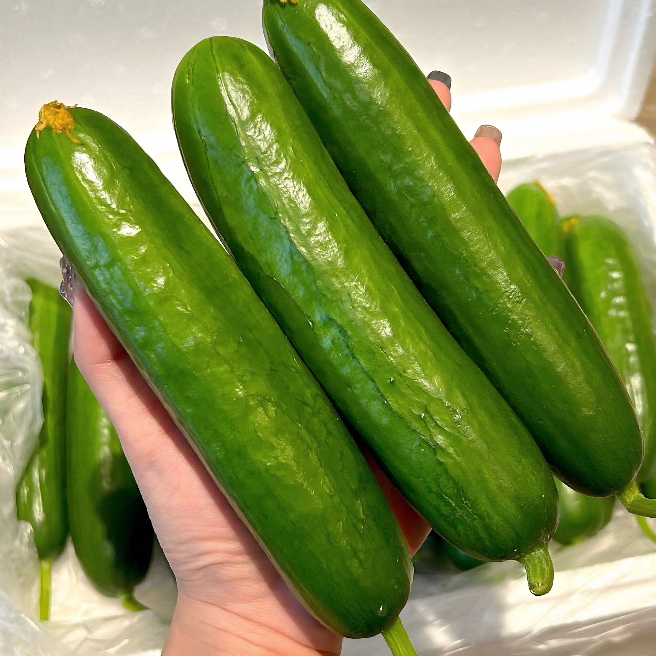 山疆湾产地直采山东寿光水果黄瓜5斤装直发商超品质直供新鲜水果