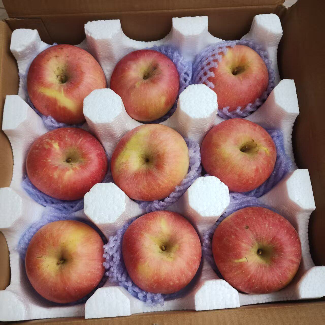 山疆湾精品秒杀产地直发陕西红富士苹果4.5斤净重新鲜水果苹果YH