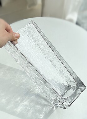 轻奢方形加厚高级感玻璃花瓶透明水养插花创意简约客厅装饰品摆件