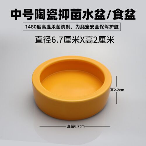 无菌爬宠陶瓷水盆喂食盆小树蛙睫角仓鼠守宫蛇鬃狮金丝熊乌龟喂食 - 图2