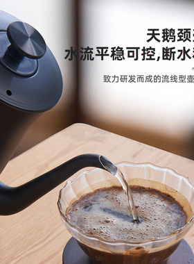 茶皇子长嘴电热水壶家用泡茶专用烧水壶手冲咖啡壶开水茶道壶小型