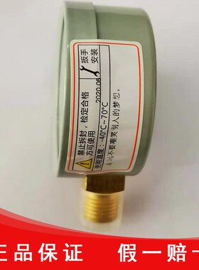 红旗仪表厂家直销氩气减压器气体专用氩气压力表 YAr -60正品保证