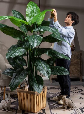 高级仿真植物彩虹芋盆栽室内大型仿生绿植造景装饰氛围感假树摆件