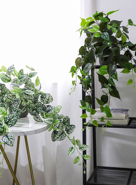 仿真绿色植物盆景把束藤条绿植客厅装饰玄关摆件球型植物造景盆栽