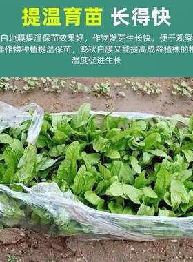 农用种植白色透明塑料小拱棚保温蔬菜大棚膜地膜二膜加厚防雨布