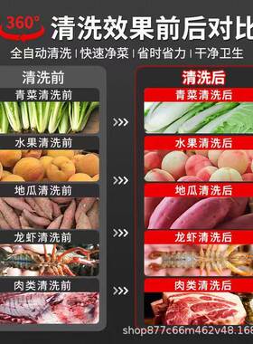 果蔬气泡清洗机蔬菜青菜洗菜机黄桃大葱酸菜辣椒娃娃菜清洗流水线