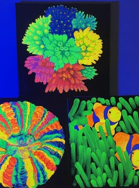 海缸海水鱼装饰荧光画海洋生物现代装饰画定制