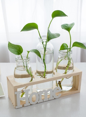 北欧水培植物玻璃花瓶水培绿萝植物容器客厅办公桌台面装饰品摆件