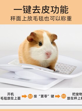 小白秤宠物体重计猫咪狗狗称重器家用小动物称重婴儿秤宠物店精准