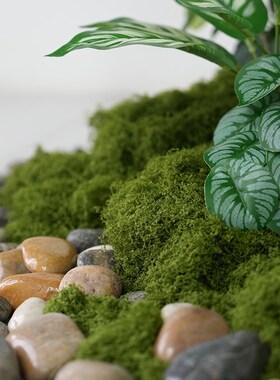 仿真苔藓盆景装饰仿生人造假苔藓草皮微景观植物diy绿植铺面装饰