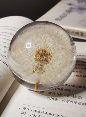 蒲公英小雏菊标本永生花树脂球水晶球摆件创意生日圣诞节情人礼物