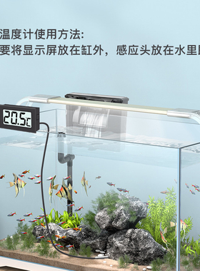 德国精工鱼缸温度计高精度测量水族养殖专用电子显示器龟缸检测仪