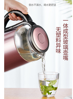 维奥仕304无缝内胆烧水壶电热水壶家用开水壶自动断电电茶壶器