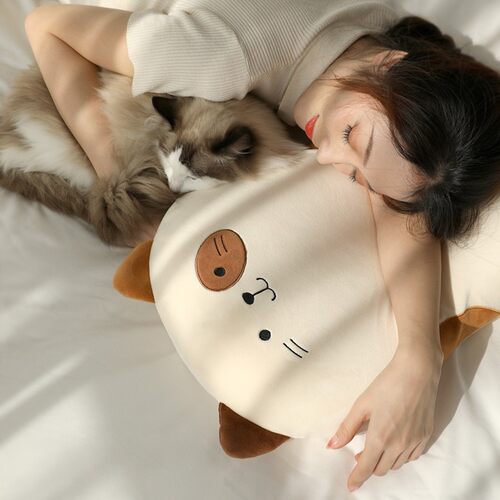 猫肚子皮枕头女护颈椎助睡眠单人记忆棉卡通宿舍学生记忆枕芯成人 - 图0