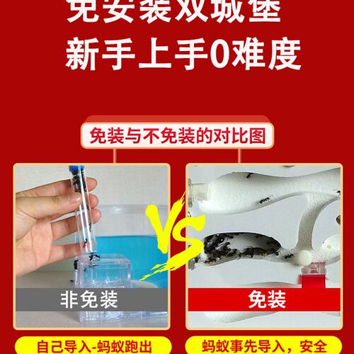 蚂蚁城堡超大型蚂蚁生态箱送蚁后学生观察繁殖版双工坊蚁巢宠物窝 - 图2