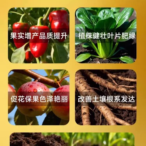 菌霸微生物菌剂果蔬肥料改善土壤植界家庭园艺肥料英国牛津农业 - 图0