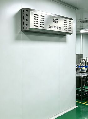 壁挂式臭氧发生器车间消毒机挂壁式食品厂包材车间臭氧机源头厂家