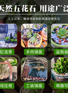 天然彩石多肉盆栽铺面石子鹅卵石鱼缸造景底砂种花装饰五彩小石头