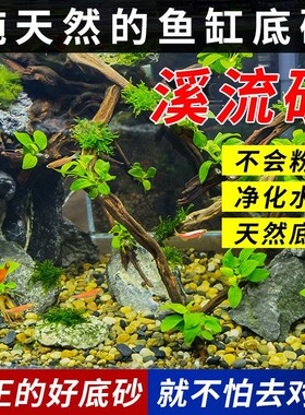 5斤鹅卵石雨花石原石五彩石头鱼缸底沙造景底砂石子沼泽过滤豆石