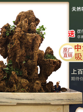 吸水石上水石盆景假山石奇石鱼缸造景家居装饰品水秀石头奇石原石