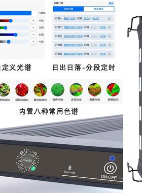 智能雨林缸造景套餐生态缸水陆缸热带雨林植物超白玻璃柜全套器材