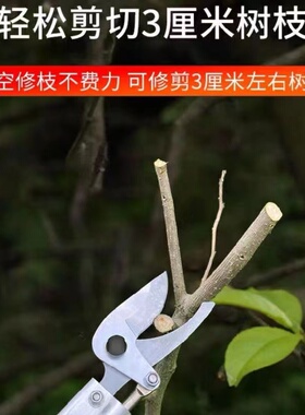 德国进口高枝剪伸缩杆高空剪加长剪树枝专用剪刀不锈钢修树枝神器