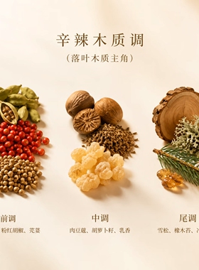 梅森马吉拉梧桐秋声|温暖壁炉|雨后初晴|淡香水木质香2ml正品小样
