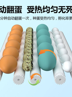 孵化器小型家用全自动智能孵化箱机鸡鸭鹅鸽子芦丁鸡孵蛋器家用型