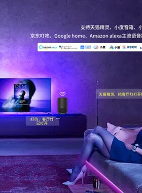 lexa语音迷你WIFI七彩RGB低压灯带手机控制LED呼吸RGBW24键遥控器