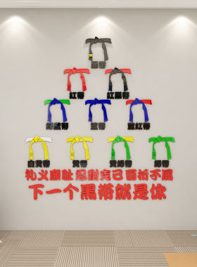 跆拳道文化墙贴背景拳击馆武馆健身房墙壁装饰贴纸励志亚克力贴画