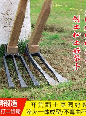 包邮家用锰钢长把木柄二齿锄头挖土开荒园林种植开垦两齿农用耙子