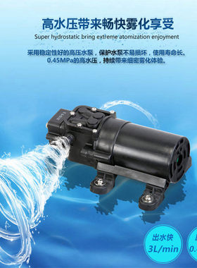 15-20升电动水泵电机微喷大流量高压喷果树打药电动喷雾器配件