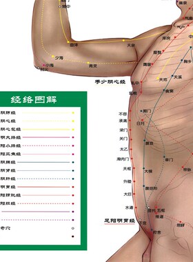 经络图解丝绸画人体穴位图挂画中医养生文化推拿针灸按摩店装饰画