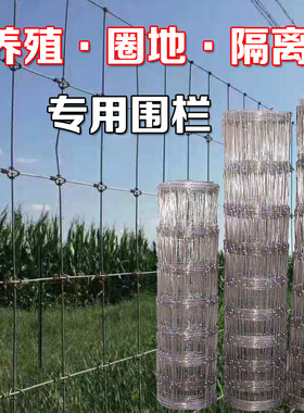 镀锌牛栏网铁丝网围栏钢丝网户外拦牛羊养殖网养鸡围养网防护栅栏