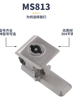 MS813 不锈钢 方型锁转舌锁 威图柜锁 AE箱电柜门锁  五金工业锁