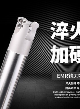 EMR圆鼻抗震铣刀杆数控平面刀杆开粗5R刀杆舍弃式端铣刀5R20-5R35